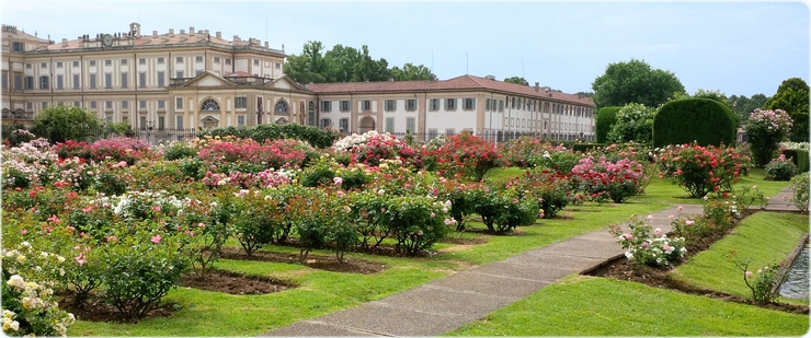 hmonza03 hmonza03